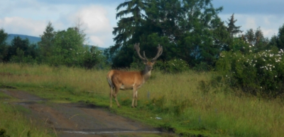 Je libo desateráka?
