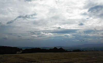 Fotoreportáž: Letní odpoledne