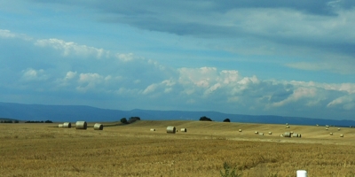 A je sklizeno
