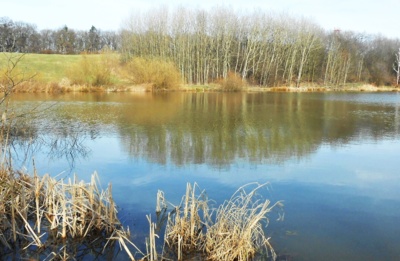 Slunce a jaro u rybníka