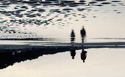 Moje nehezká společnice Poliomyelitida