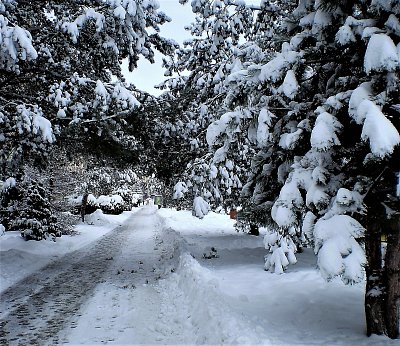 Když je sněhu dost