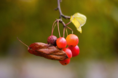 Držel jako přibitý