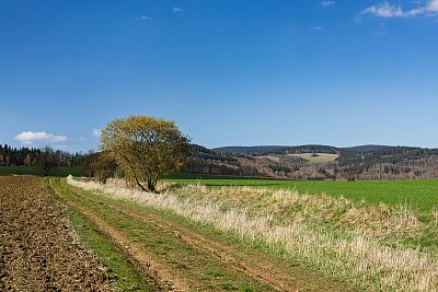 Polní cesta ke Krušným horám
