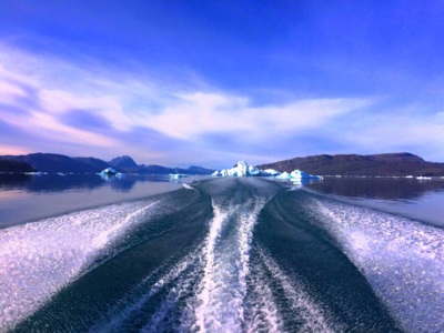 Ledové království