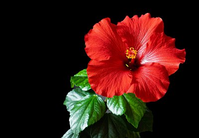 Hezčí den mám ...*