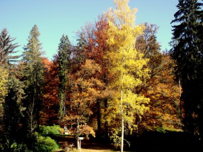 Hrají všemi barvami