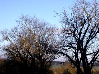 Hrátky se sluníčkem