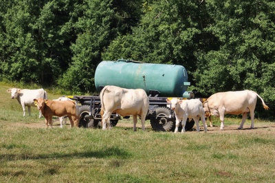 I my dodržujeme pitný režim