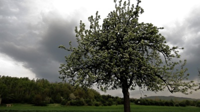Už je mi hodně a pořád jsem krásná