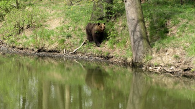 Zdraví méďa Béďa