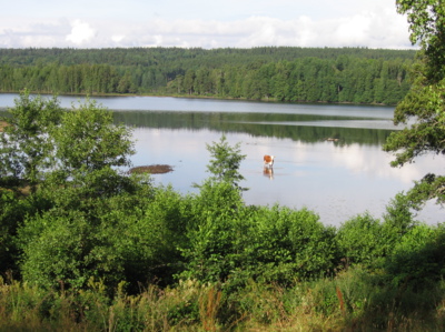 Každodenní rituál