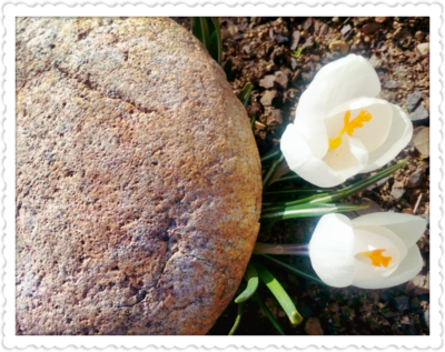 Ladnost u "kameného" bochníku...