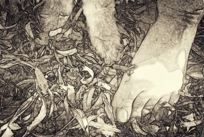 Ve stopě zvířete...