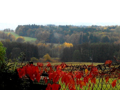 Mlhavé podzimní ráno mezi domy