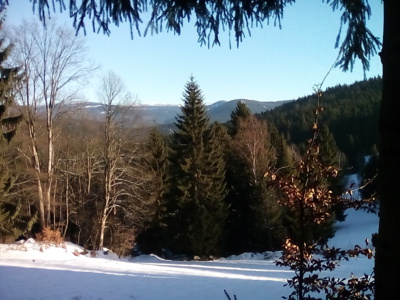 Dnešní výšlap za sněhem se vydařil - Moje ho
