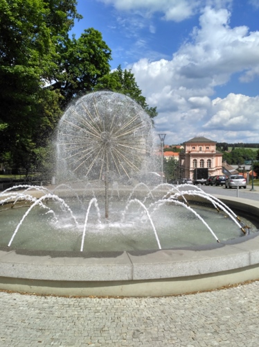 Pampeliška Vlašim.