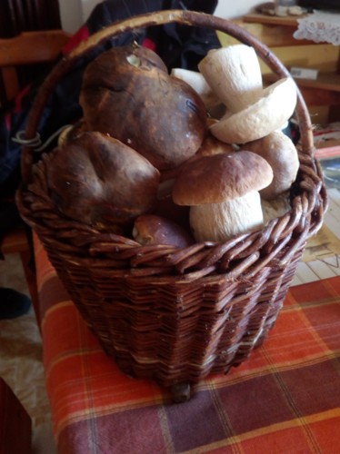 Dárek z Abertam...
