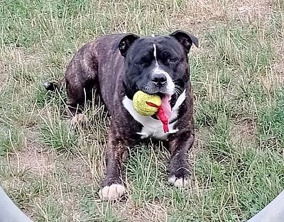 Jsem Aidan a je mi 9