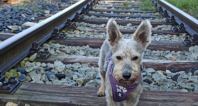 Motoráčkem na Moldavu