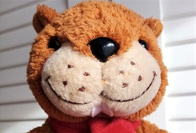 Z příběhů naší rodiny: Bobr na památku