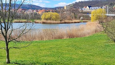 Rybník u kostela