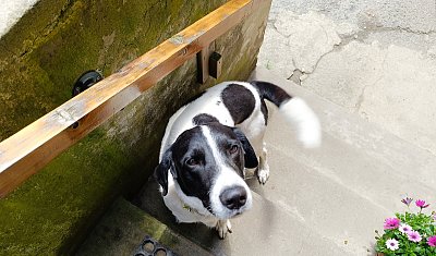 No, konečně otevřeli