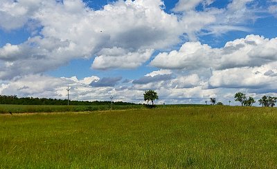 Kupovité a nadýchané