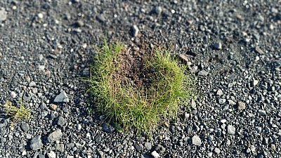 Posílám všem podkůvku pro štěstí... *