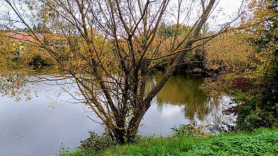 Medlánecký rybníček *