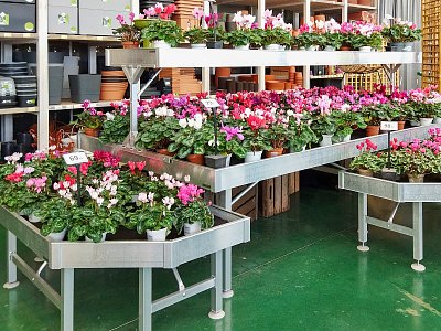 Vyberte si, máme i fialové!