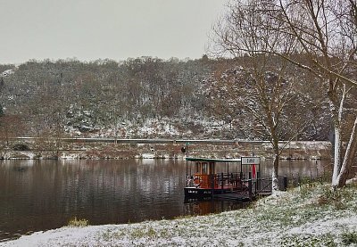 Břehule převáží i v zimě*