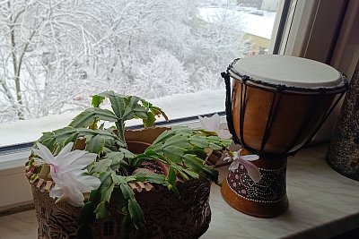 Tak trochu si kvetu ... *