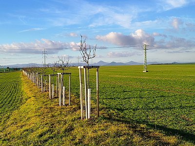 Jedenáctého dvanáctý + 13 st.