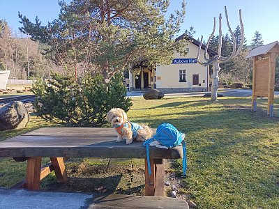 Z dnešního výletu na Šumavu