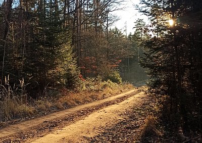 Veď mě dál cesto má...