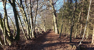 Cestou do všedních dnů