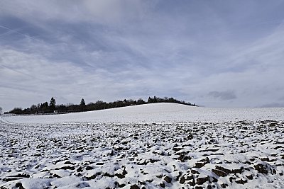 Z Novoroční procházky 2026