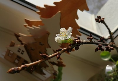 Šmankote, abych se nemusela v 60 vdávat..... :-)