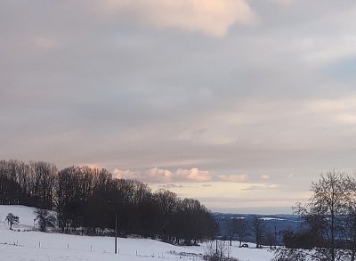 Snesl bys mi to růžové z nebe?