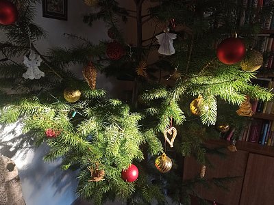 Když se rozsvítí vánoční stromek