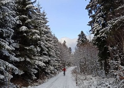 Cesta zimou...
