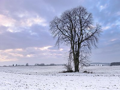 Nikde nikdo...ani živáčka....