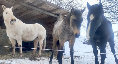 Pořád se něco děje
