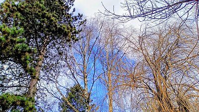 Zelená modrá venku vždy dobrá *