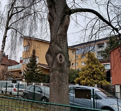 Do vršku