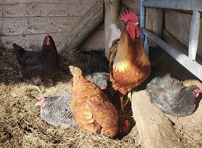 Díky za každé nové ráno!