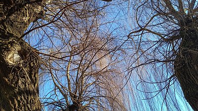 Kyklop a Medúsa Gorgona *