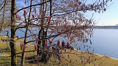 Jehnědy a naháči první březnovou sobotu *