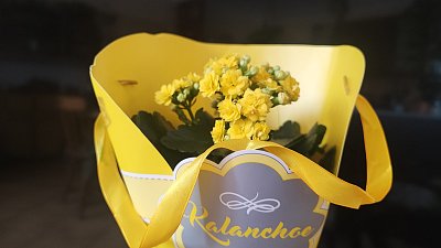 Květinou nezarmoutíš